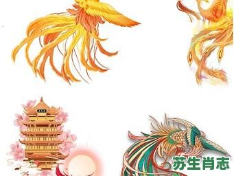 落魄凤凰是什么生肖？凤凰打一生肖动物