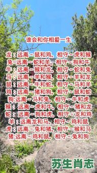 小小依人是什么生肖？相倚两依依打一生肖