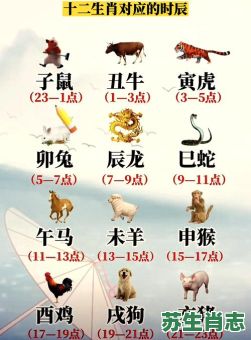 戊时是什么生肖？戍是什么属相