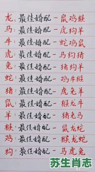 2013属相是什么生肖？13年出生的属什么