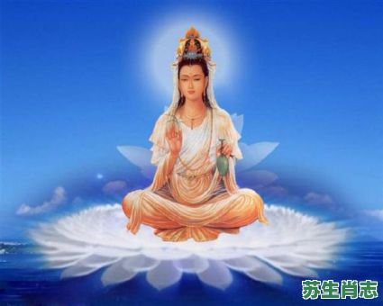 水中仙子是什么生肖？仙女下凡间是什么生肖