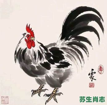 逍遥写意是什么生肖？12生肖哪个最逍遥