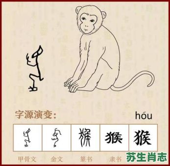 猴的六生肖是什么生肖？六字指定是什么生肖
