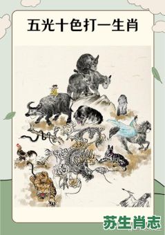 体态庞大的是什么生肖？五光十色指什么生肖