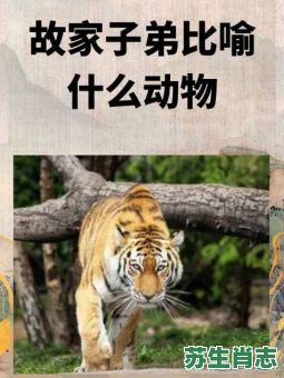 空山不见人是什么生肖？空山是什么动物?