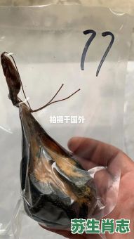 狗胆包天是什么生肖？狗胆包天的来历和故事