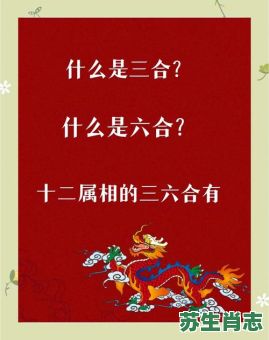 合双成对是什么生肖？双合是哪个生肖