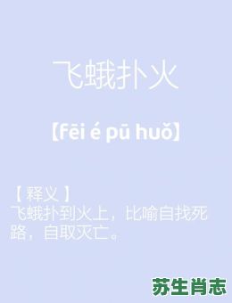 飞鹅扑火是什么生肖？飞蛾扑火最正确生肖