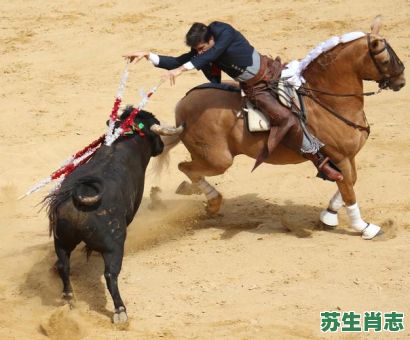 队伍庞大是什么生肖？好庞大的队伍啥意思