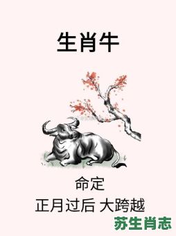 持刀探病牛是什么生肖？持字是什么生肖