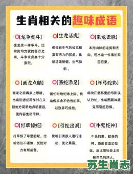 鼠目过光是什么生肖？十二生肖谁是鼠目寸光