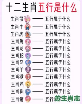 2022是什么年生肖属性？十二生肖属性大全