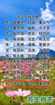 感情分岐是什么生肖？重感情的生肖是指什么生肖