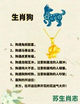 国士真无双是什么生肖？国士无双代表什么生肖