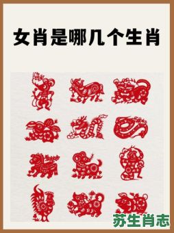 爱看女人的生肖是什么？爱看女人打一最佳动物