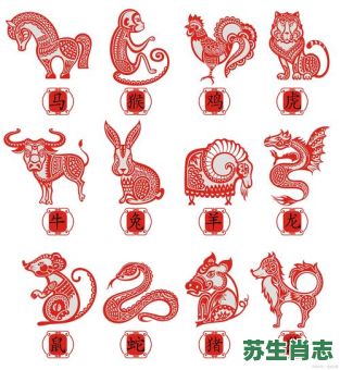 驴脸猪头是什么生肖？驴脸比母猪头打一生肖