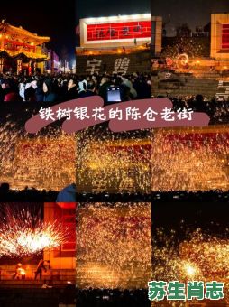 十二生肖银花是什么？铁树银花是什么生肖