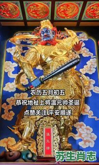 温元帅旦是什么生肖？温元帅出生属相