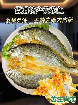 黄花鱼是什么生肖？黄花打一动物是什么