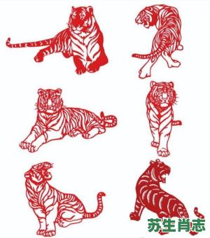 1962年属相是什么生肖？1962年的虎是什么虎