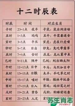 轻轻吼二四是什么生肖？二四算准是什么生肖呢