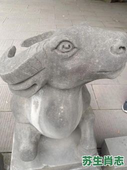 十一根手指是什么生肖？登高手指天指什么生肖