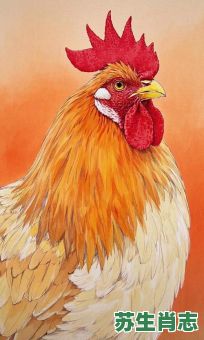 越狱的鸡是什么生肖？属鸡六个合生肖是什么