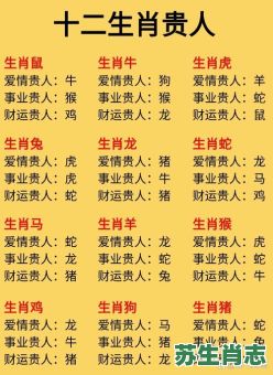 2020年是什么生肖年什么命？2020年属鼠人的运势