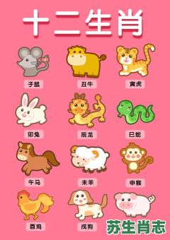 选用二五做前排是什么生肖？闲代表什么生肖最佳答案