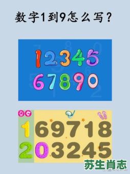 二二事六数是什么生肖？二二事六数打一数字