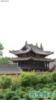 将军殿前把守严是什么生肖？白老虎关前把守正确答案