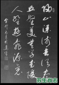 莫学武陵人是什么生肖？莫学武陵人打一数字