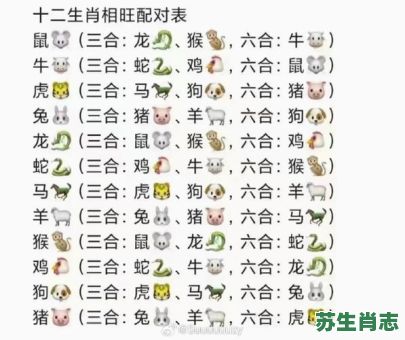 十二生肖五门是什么？49个数分哪五门