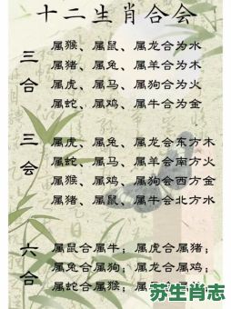 二足对顶是什么生肖？二人三足打一正确生肖