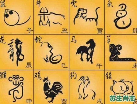 不知底细的是什么生肖？12生肖细心指的是哪个动物