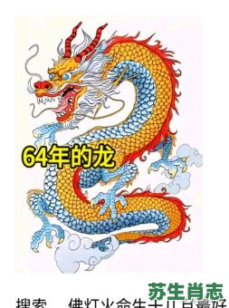 偷粱换柱是什么生肖？飞龙在天打一准确生肖