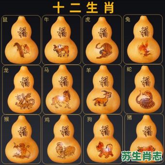 葫芦里卖药是什么生肖？葫芦在十二生肖是谁