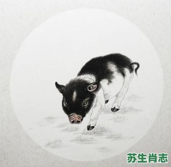 头顶半边天是什么生肖？顶天立地打一正确生肖