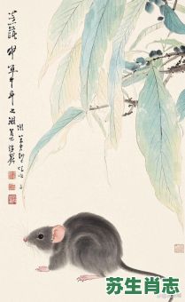 人面兽心指的是什么生肖？人面兽心打一最佳生肖