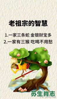 刘皇叔扫亲是什么生肖？老奶奶打一个最佳生肖