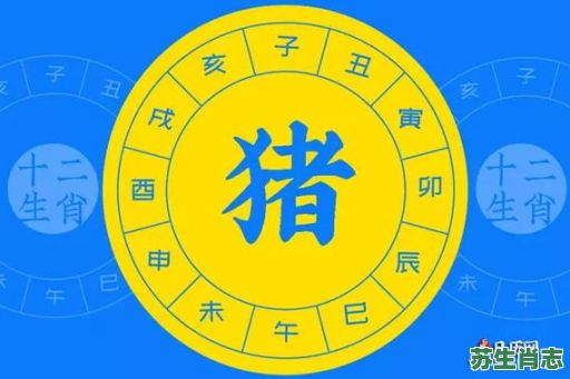 二字经票据是什么生肖？二字经解生肖