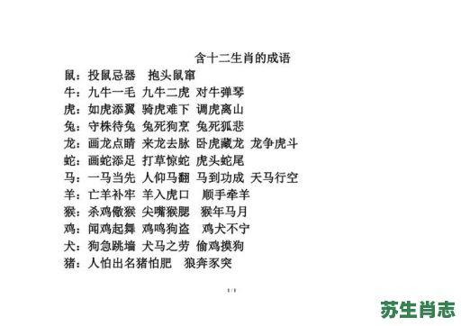 空留纸上声是什么生肖？投鼠忌器空空会是什么生肖