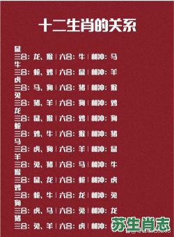 三十减一是什么生肖？三十减一打一准确生肖