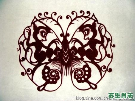 欲钱买蝴蝶是什么生肖？蝴蝶,打一生肖