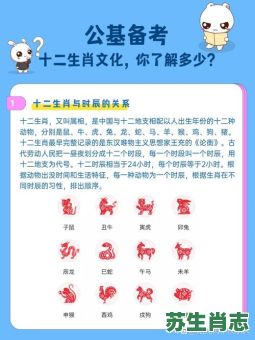 十二生肖的细数是什么？细数打一最佳生肖