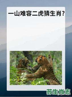 力大无比穿黄衣是什么生肖？力大无比穿黄衣正确答案