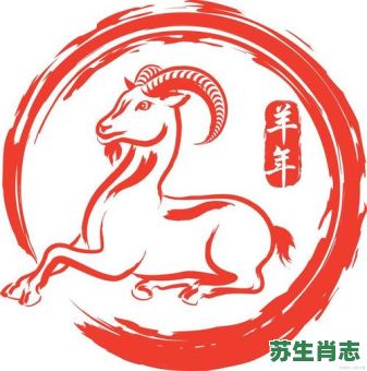 对水照毛衣是什么生肖？细毛织寒衣是什么生肖