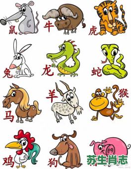 掉在海里不肖你老是什么生肖？家肖有哪些生肖