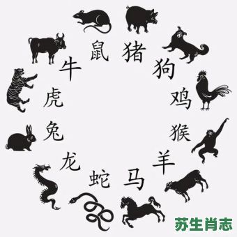 额头一个洞是什么生肖？头上生角打一准确生肖