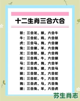 三阴配一阳是什么生肖？三阴配一阳正确答案是